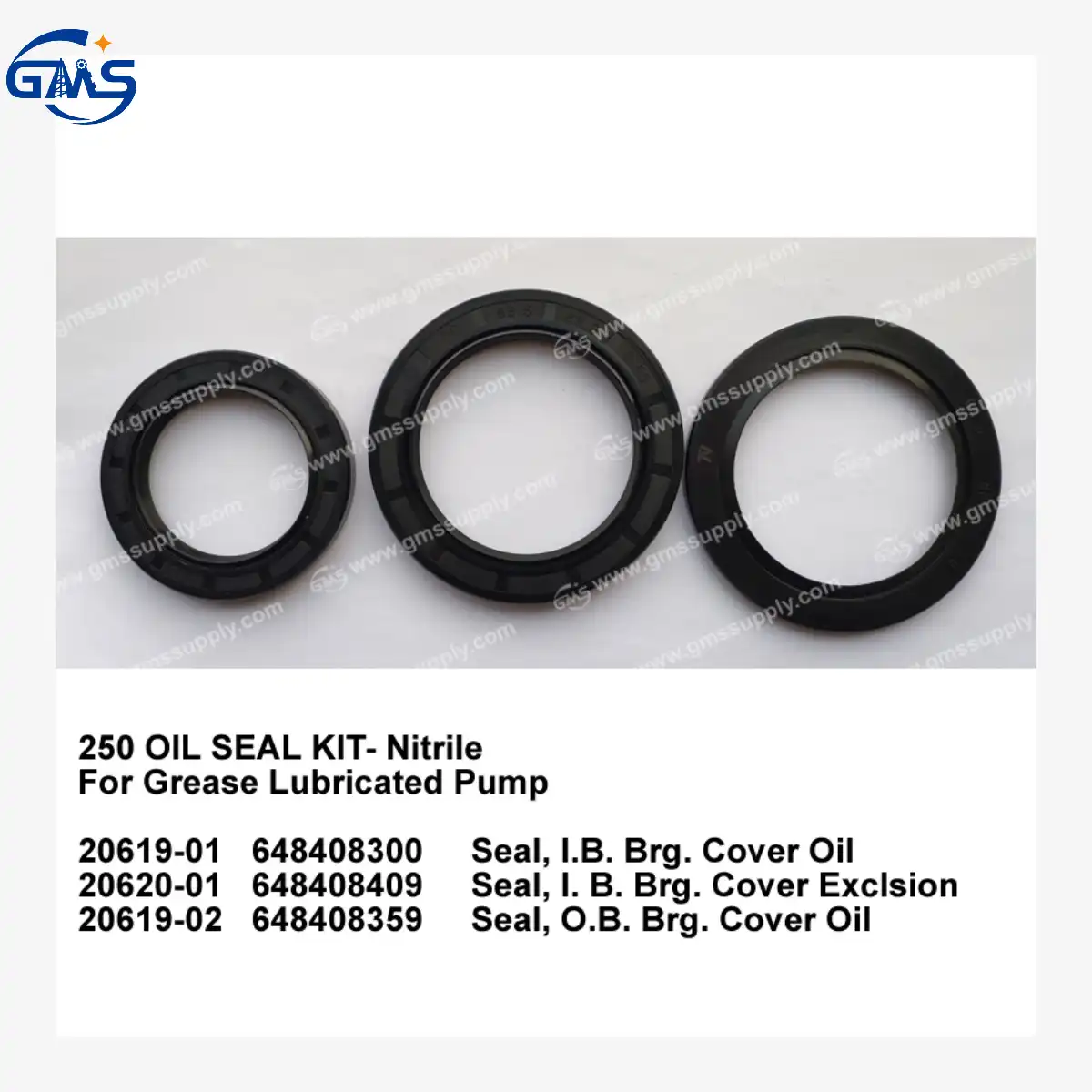 Oil seal, I.B.Brg.Cover for 250 Centrifugal Pump: Strong Sealing Solutions